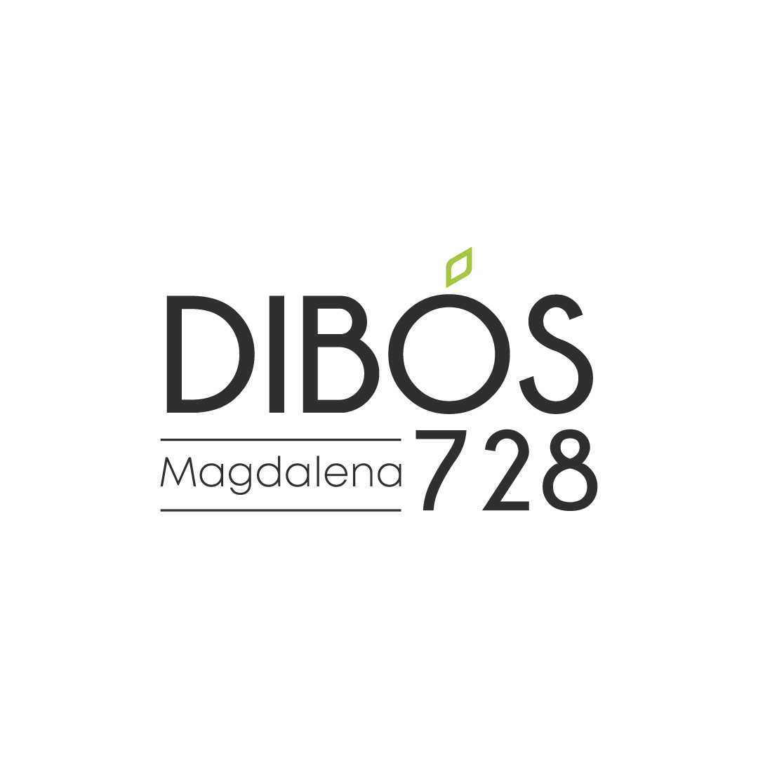 LOGO-DIBÓS-gris